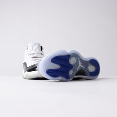 Jordan 11 Retro Concord (2011)