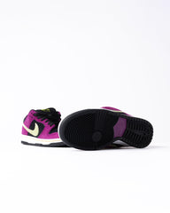 Nike Dunk SB Low Pro ACG 'Terra Red Plum' (Par de Exhibició)