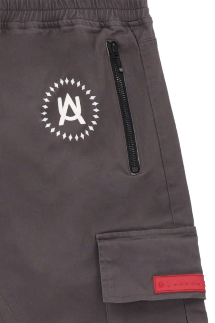 Pantalón Wild Grey Cargo